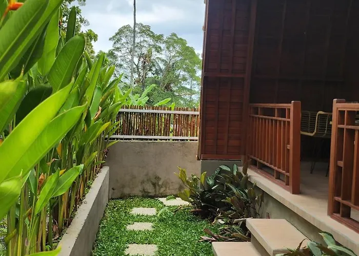 Kubu River View